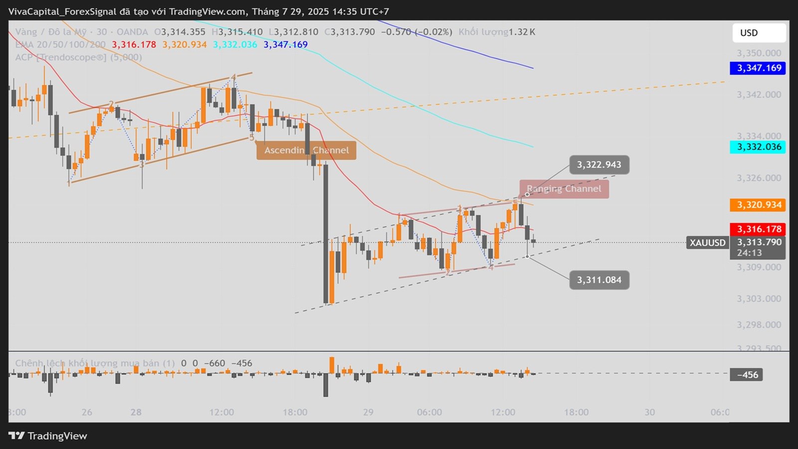 Viva Capital - Forex Signal