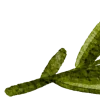 🌿